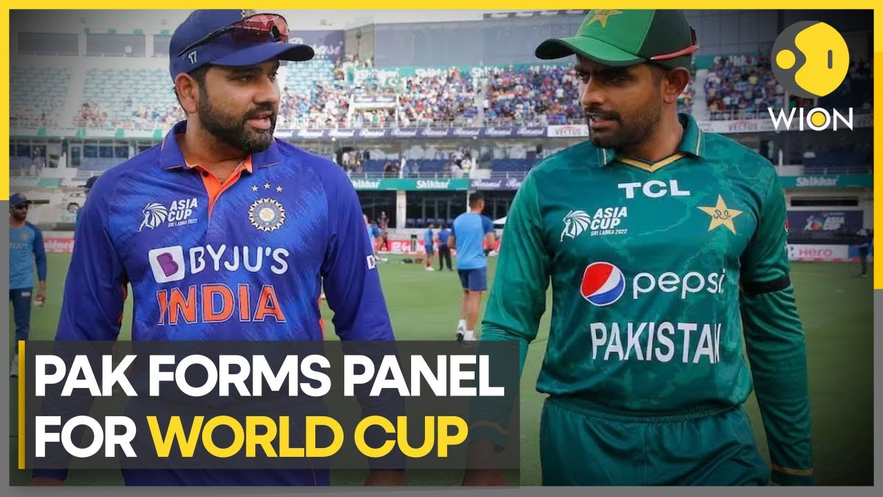 Pakistan's government forms panel over its participation in World Cup | Latest News | WION
