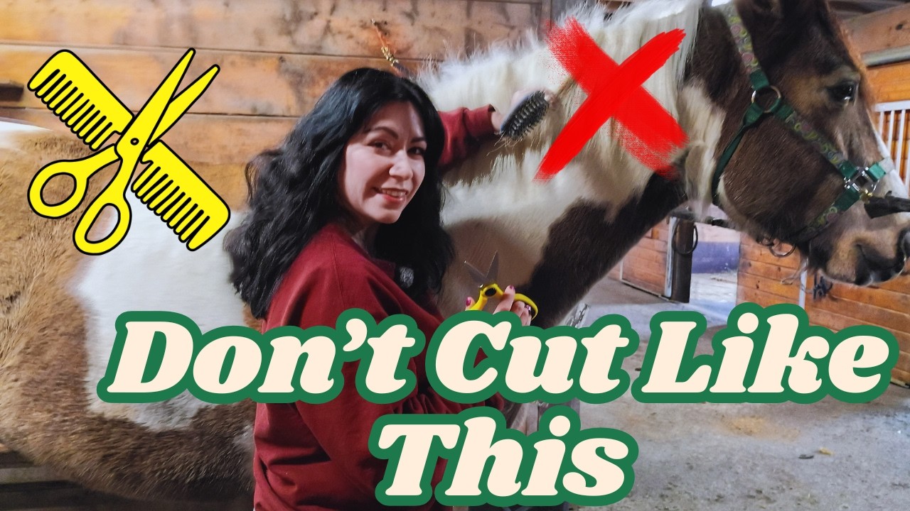 The #1 Mistake Horses Owners Make When Cutting A Mane & Tail