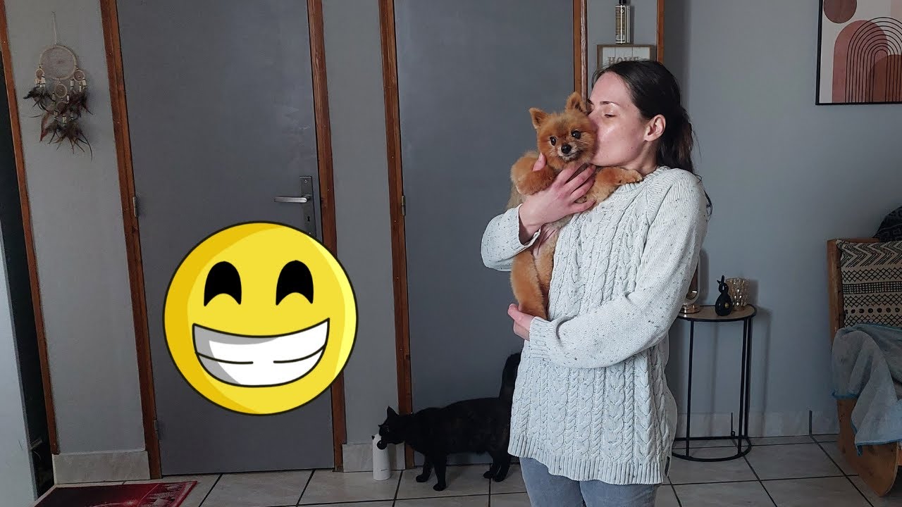 VLOG : C'est le JOUR J !