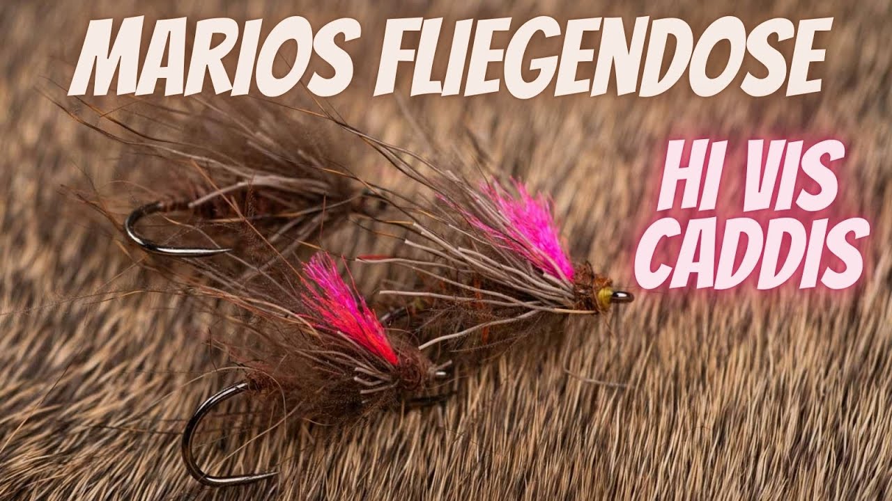 Marios Fliegendose - HiVis Caddis - Allroundfliege