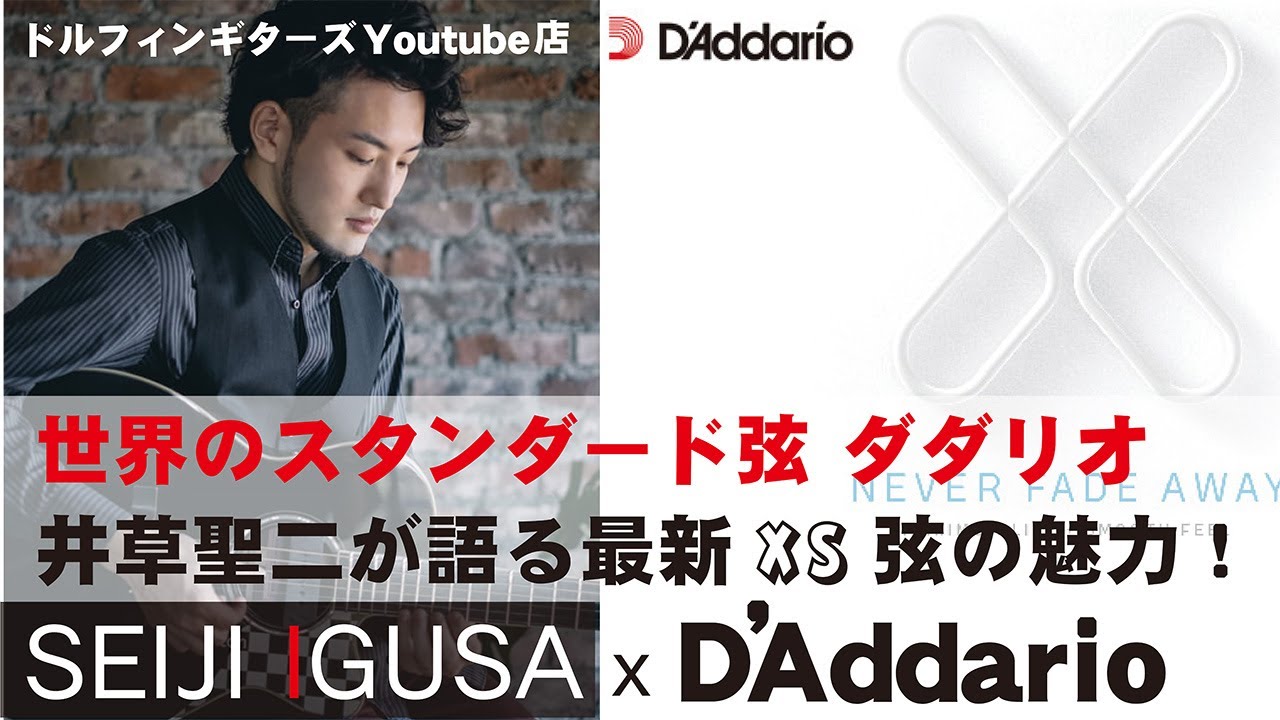 ドルフィンギターズYouTube店 ゲスト 井草聖二さんが愛用するダダリオ弦について