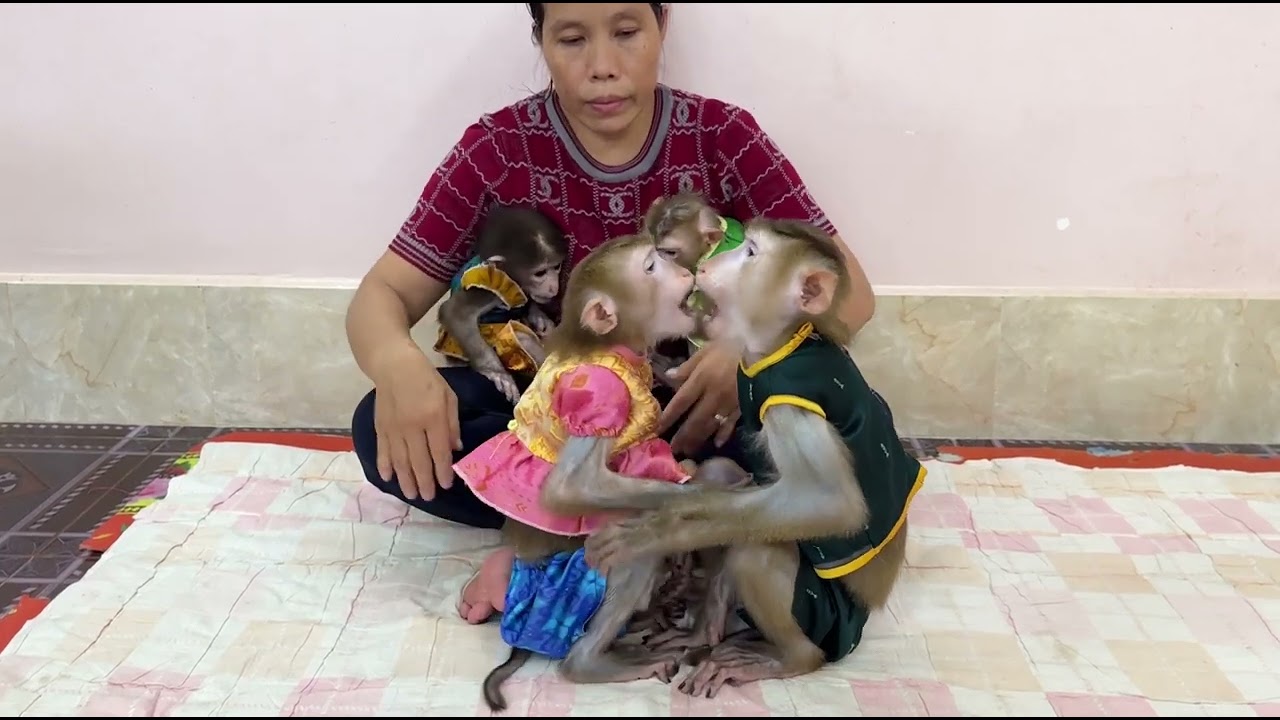 Eternal Love!! Sweetie Sovan & Sovanny Come To Give Each Other Warm K-I-S-S Like A Couple!!