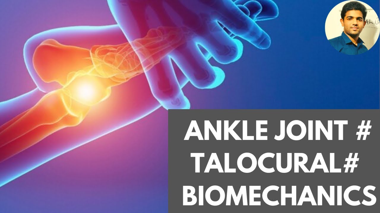 ANKLE JOINT | TALOCURAL JOINT #BIOMECHANICS ( Ankle series 2))