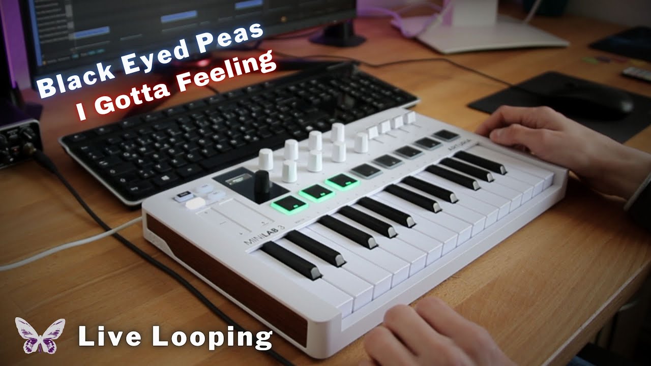 I Gotta Feeling - Black Eyed Peas | Arturia MiniLab 3 | Live Loop Cover
