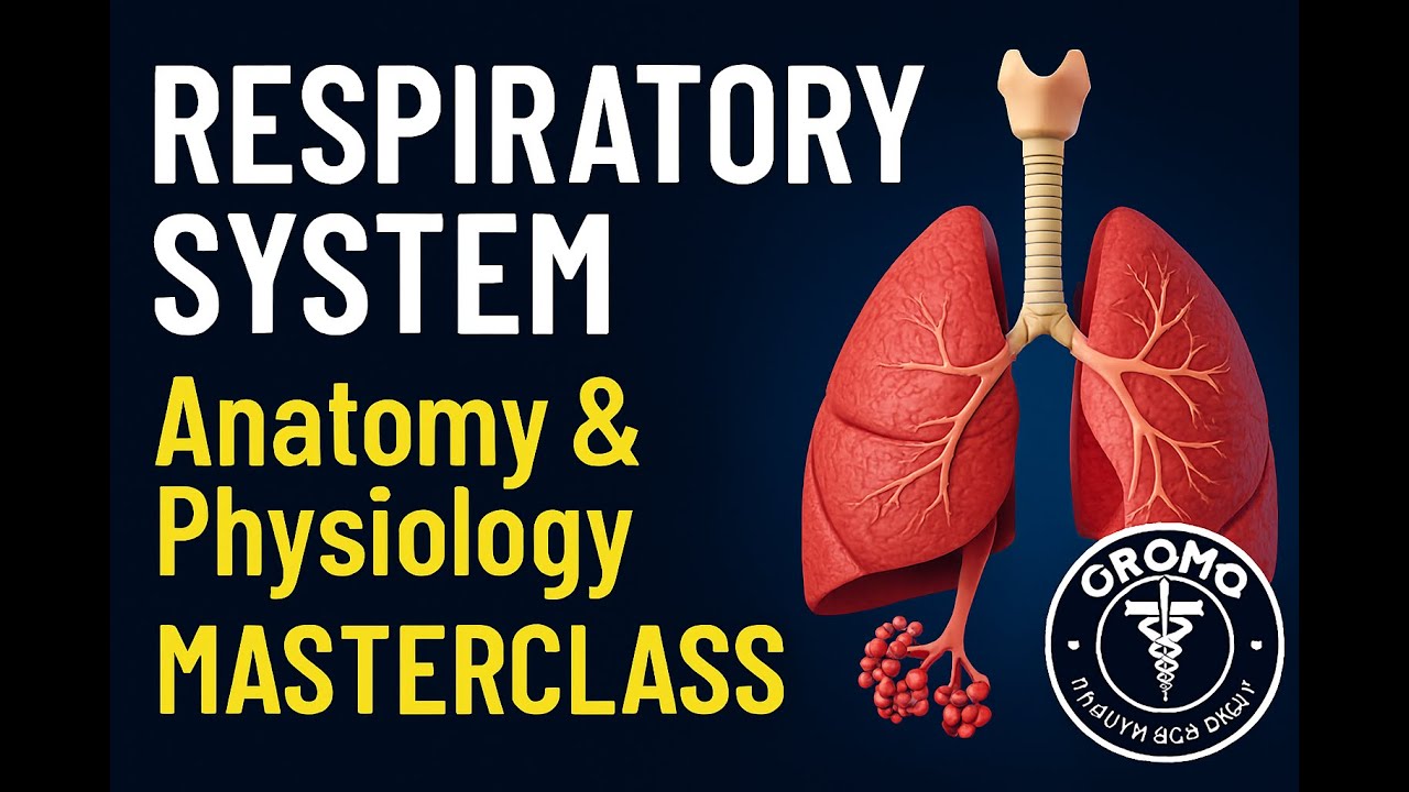 Respiratory System Anatomy & Physiology: Full Lecture [Afaan Oromo]