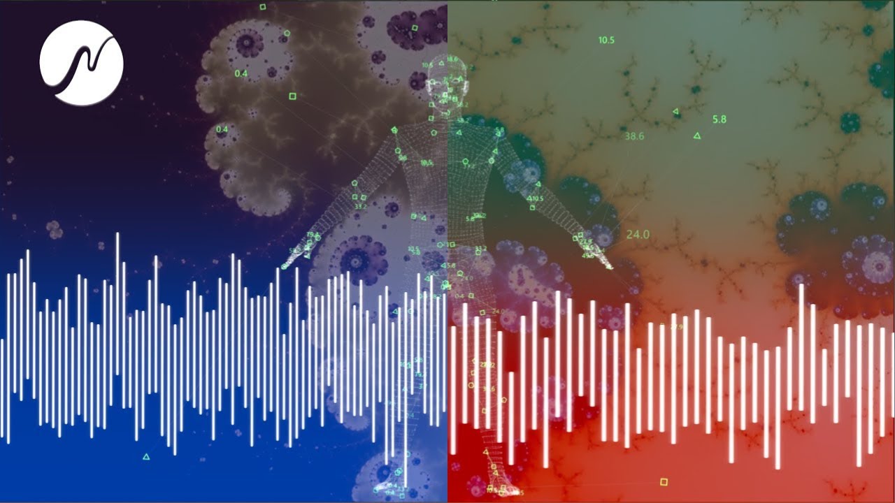 Stabilizuj sw&oacute;j układ nerwowy: Wsp&oacute;łczulne i przywsp&oacute;łczulne