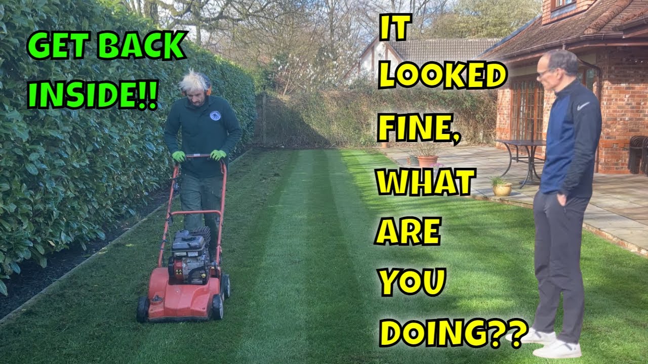 ONE way on How to TREAT MOSS in the lawn / Bye Bye MOSS