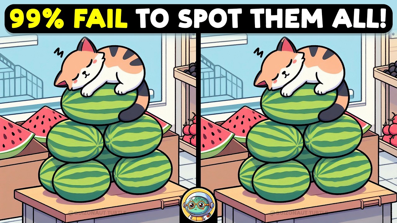 🐢🧩 Spot The Difference | Expert Challenge Edition 🧩🐢 | Quizonaut Turtle