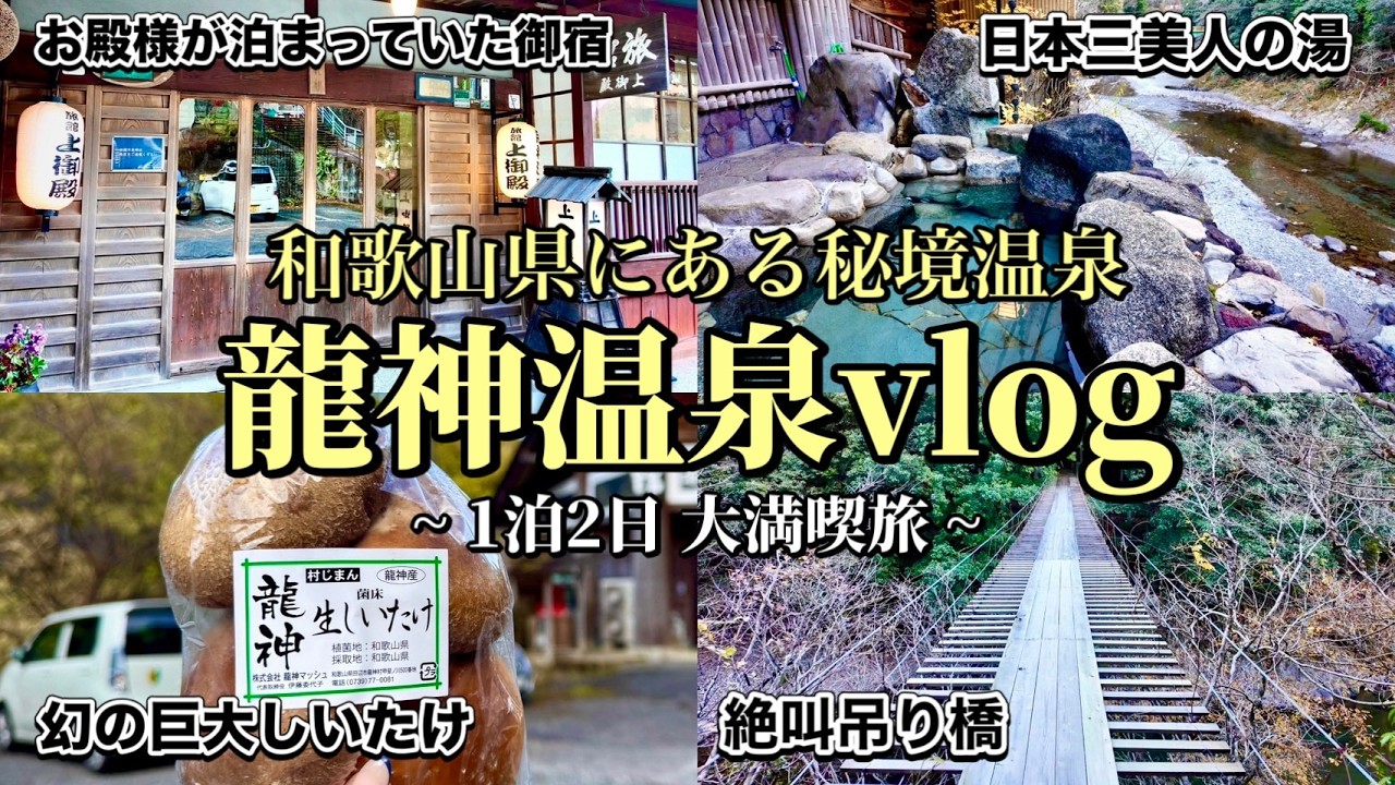 【和歌山県 龍神温泉】日本三美人の湯♨️✨江戸時代から続く宿・絶叫吊り橋・道の駅グルメ🍔1泊2日vlog🚗‼︎