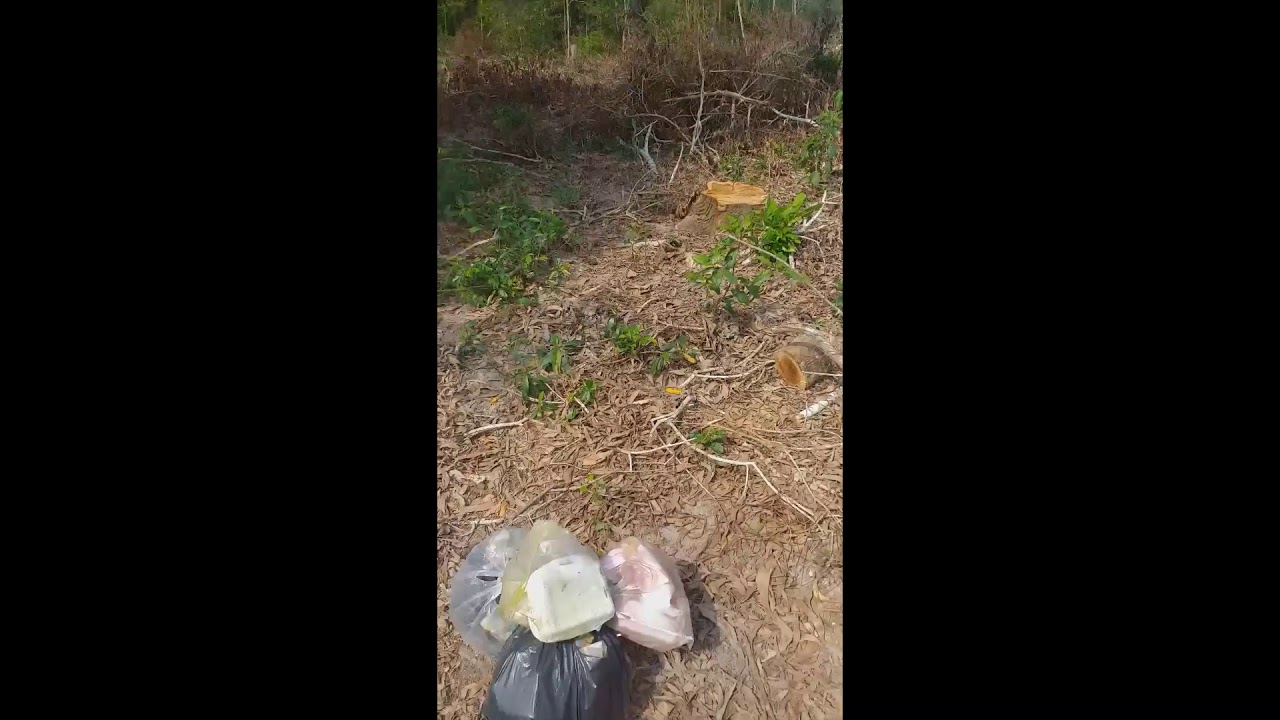 Daily trash cleaning in Phu Quoc