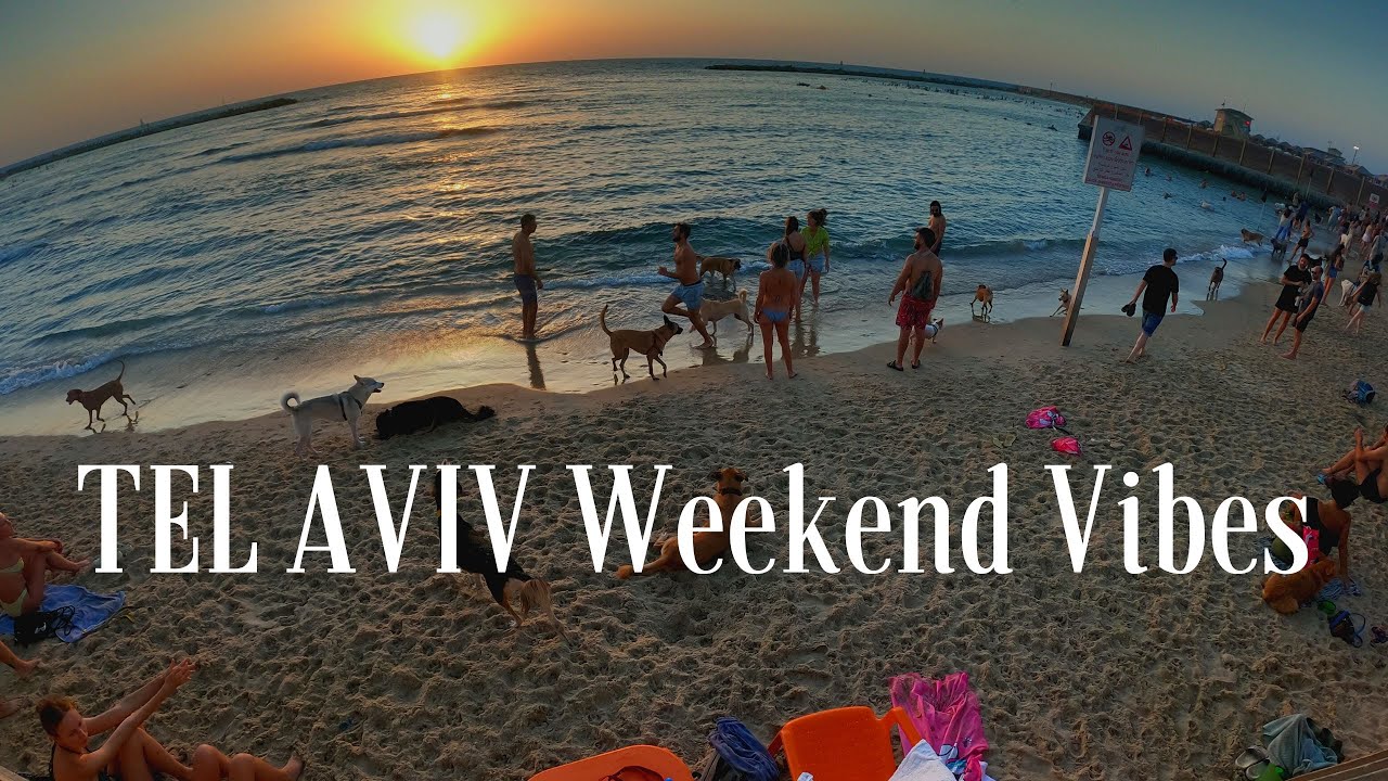Beach Party for Dogs. Riding from Yarkon Park to Hilton Beach in Tel Aviv