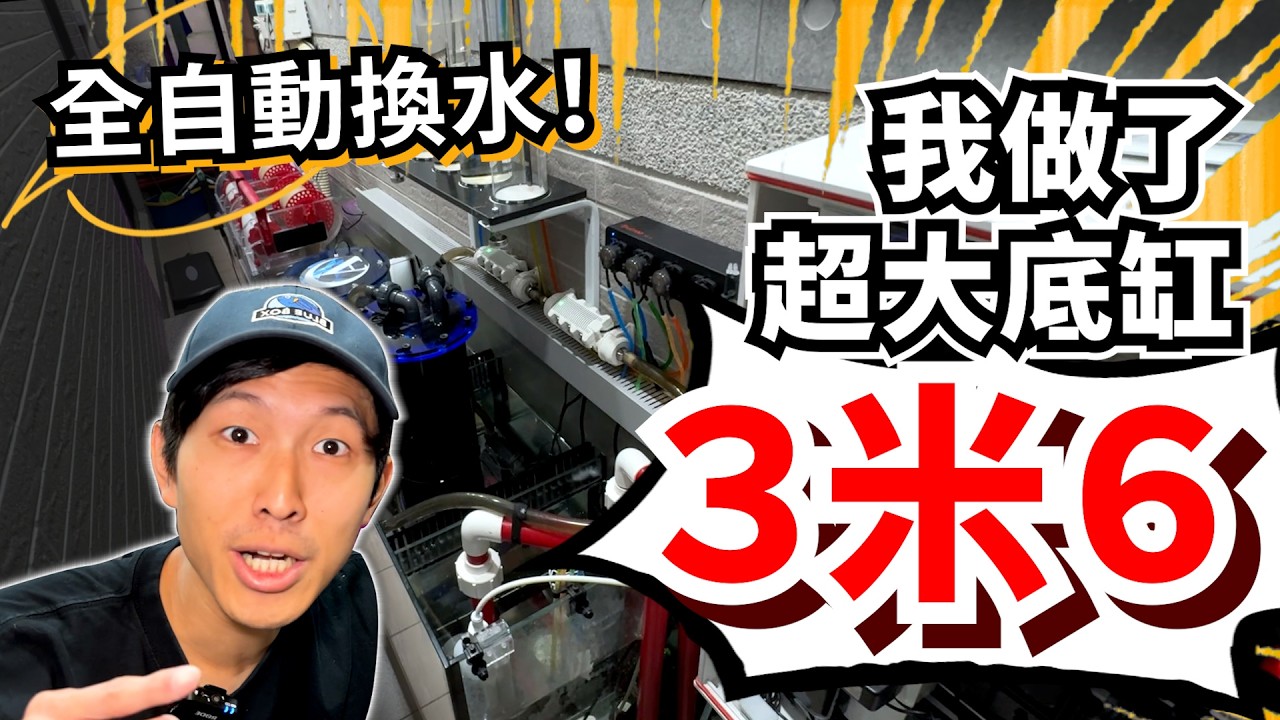 【藍箱水族】整個陽台改造成底缸！台中南屯Tommy設缸