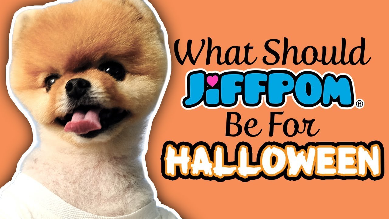 What Should Jiffpom Be For Halloween?