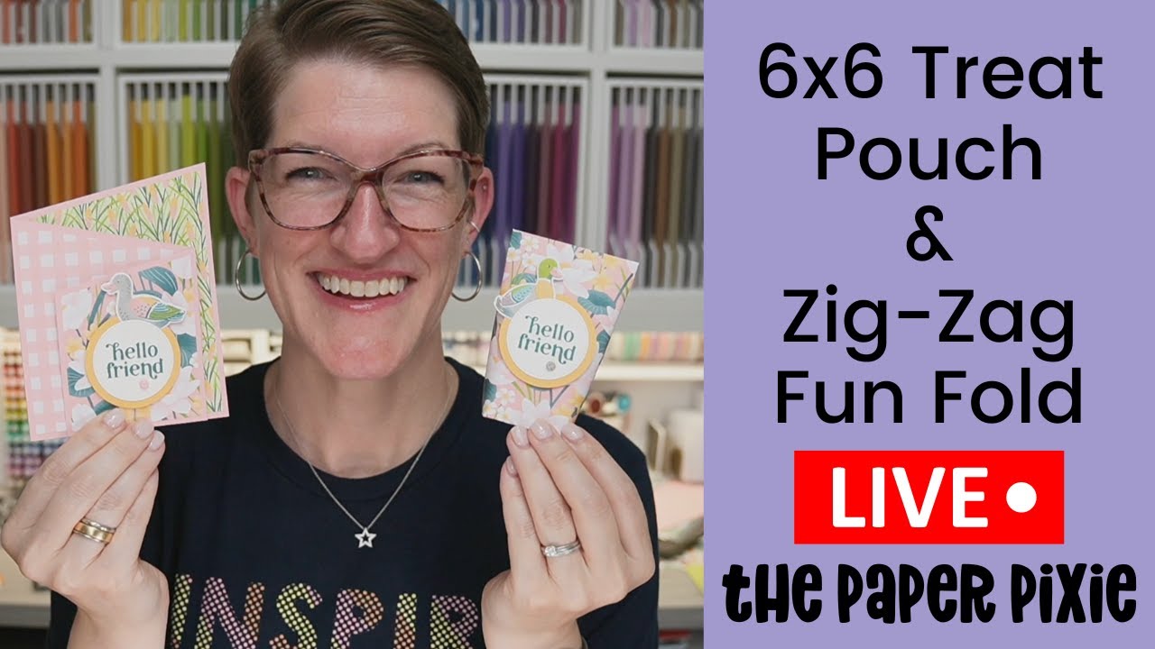 🔴 6x6 Treat Pouch & Zig-Zag Fun Fold Card - Episode 332