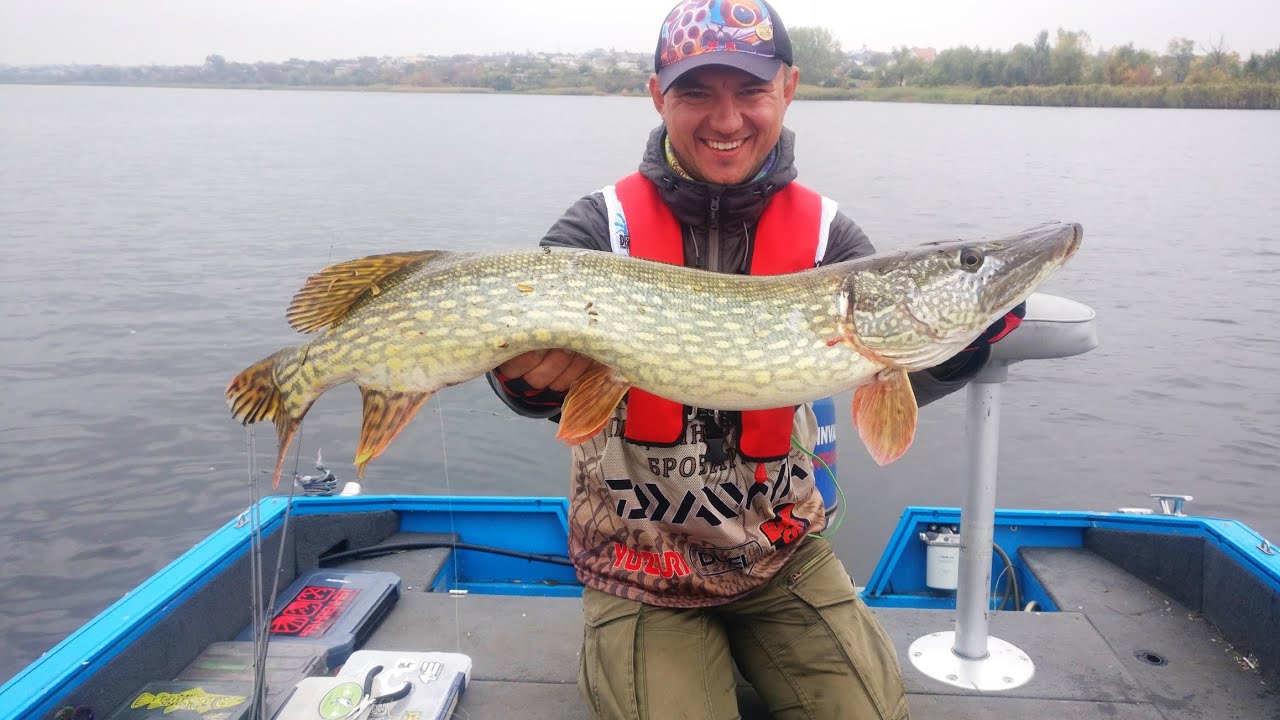 Трофейная рыбалка на Щуку. Разбор полетов Delta Classic Днепр 2019