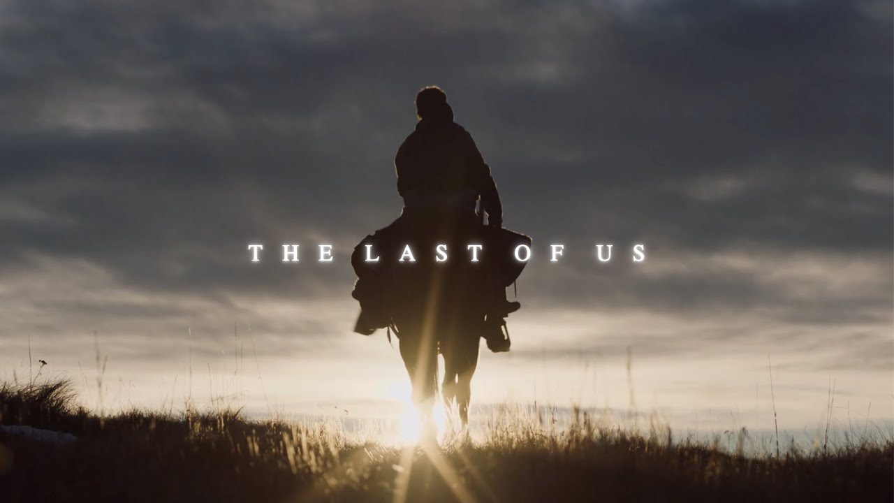 Visuals - The Last of Us (4K)