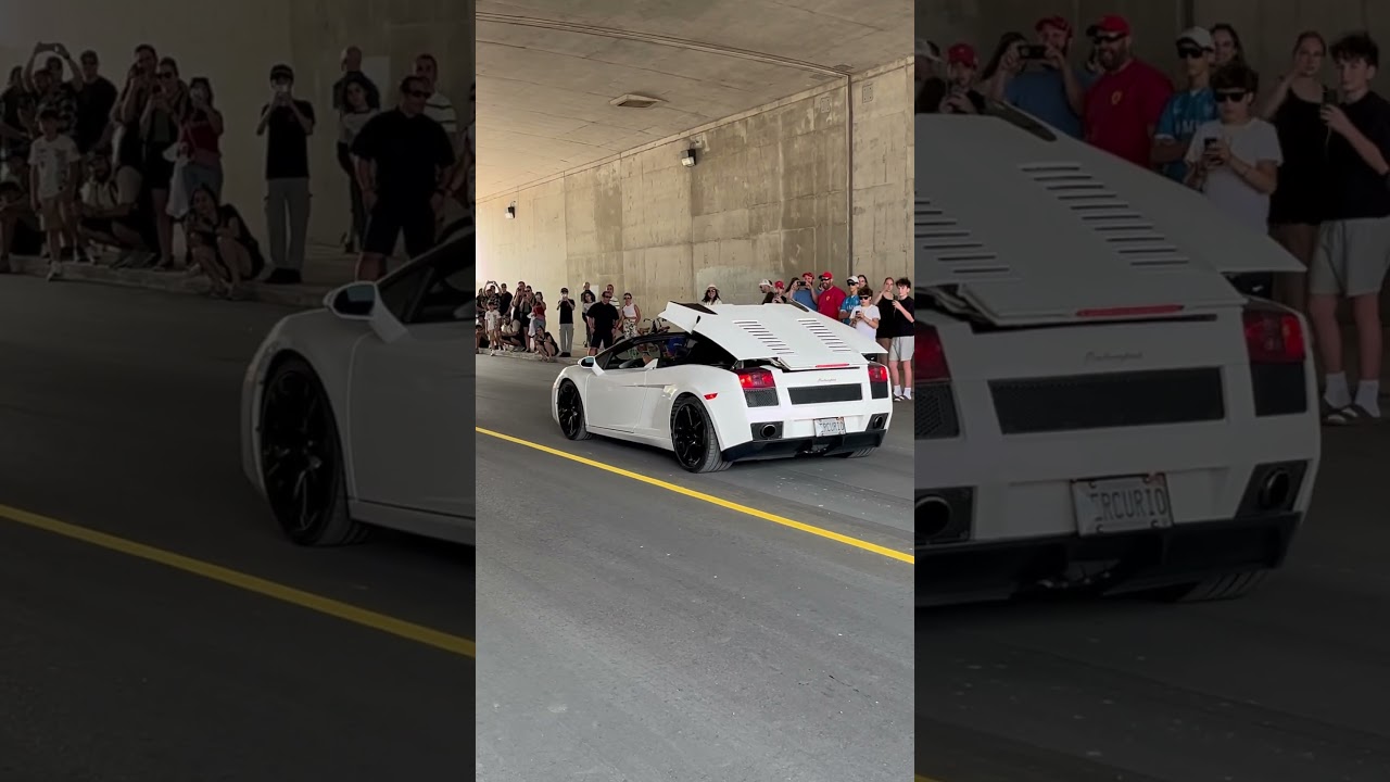 White Lamborghini Gallardo Spyder: Roof Up + V10 Roar! 🏎🔥 #lamborghini #shorts