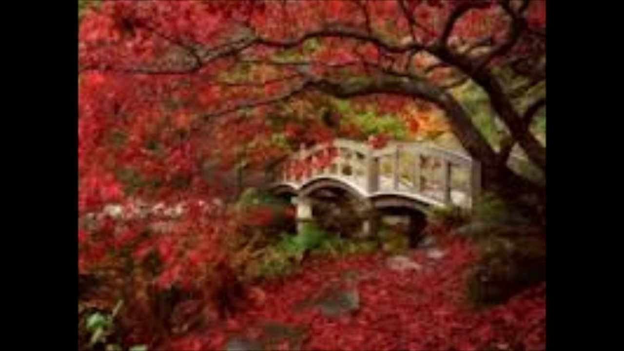 Giovanni Nuti mantra Ho'oponopono - Portuguese Version