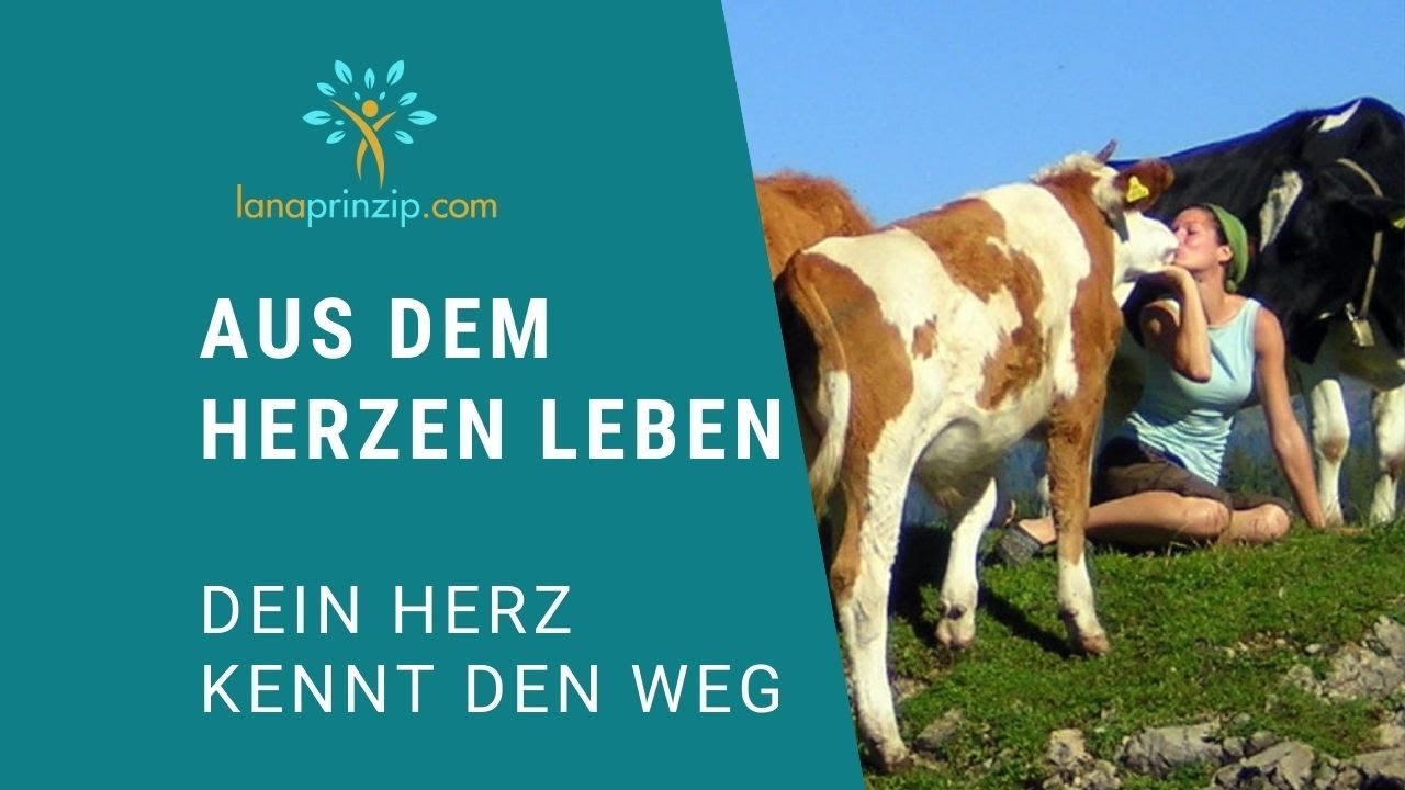 Folge deinem Herzen: Wieso deine innere Stimme wichtig ist. Mutig dem Herzen folgen!