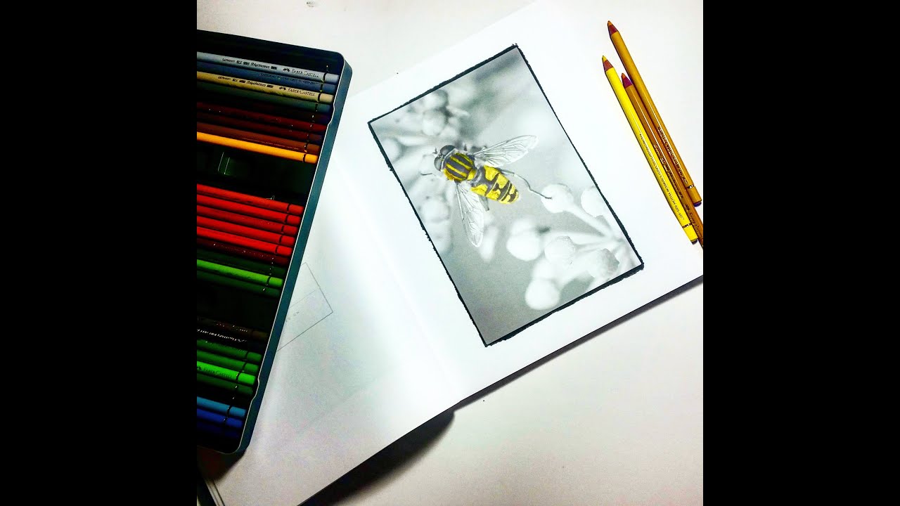GRAYSCALE Coloring Book | Process