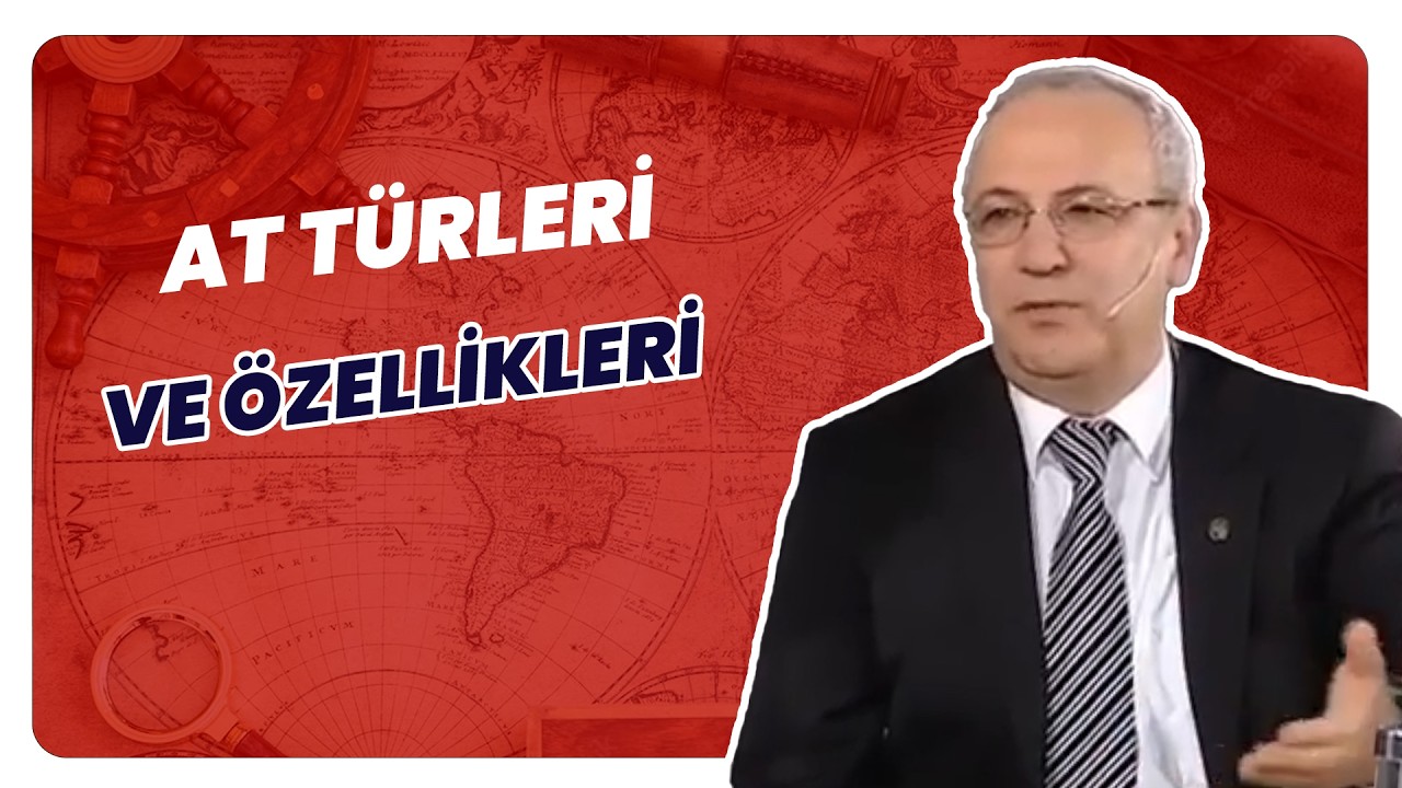 Dünyada Kaç Farklı At Türü Var? | Tarihin Arka Odası