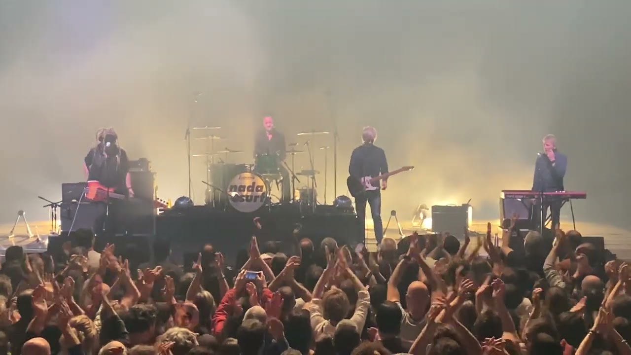 NADA SURF - Popular / Always Love / Blizzard of 77’ // Live Clermont Ferrand Décembre 2024