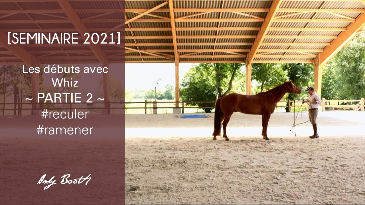 [Séminaire 2021 ]  Les débuts avec Whiz • PARTIE 2 • #sensation #reculer #ramener