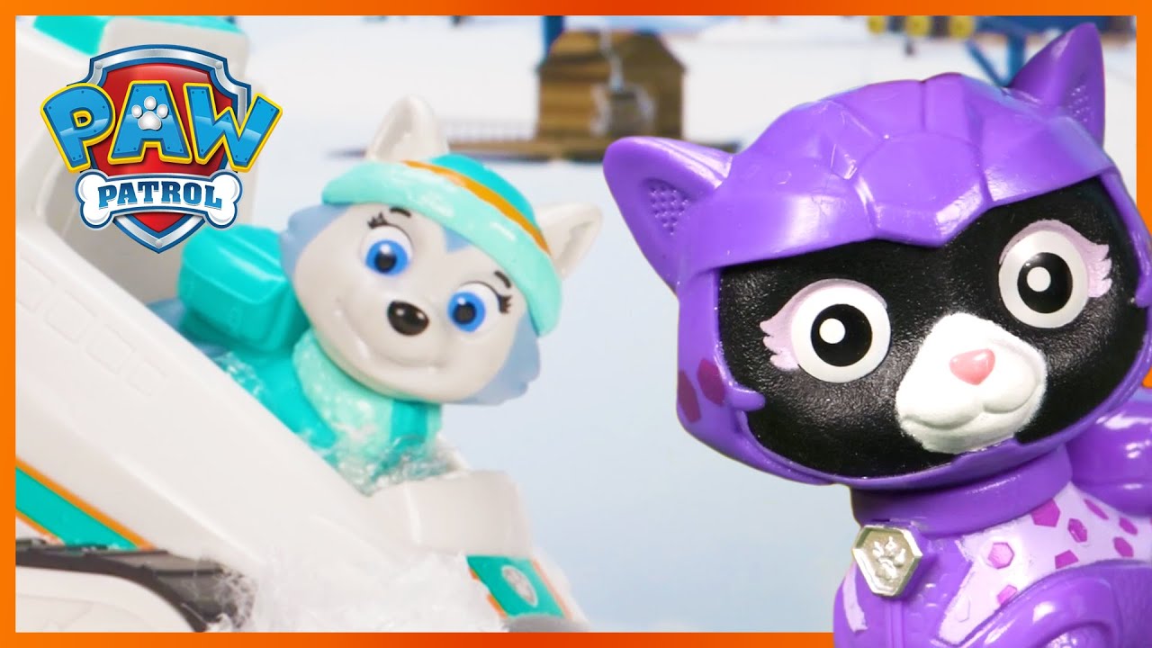 1 Hour of Cat Pack Toy Rescues Missions! - PAW Patrol - Toy Pretend Play for Kids