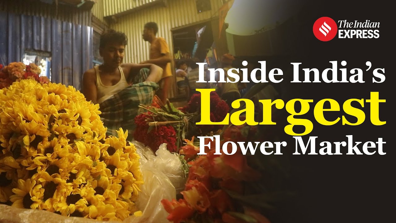 Mullick Ghat Market Of Kolkata: How This Became The Largest Flower Market Of India | Navratri 2024
