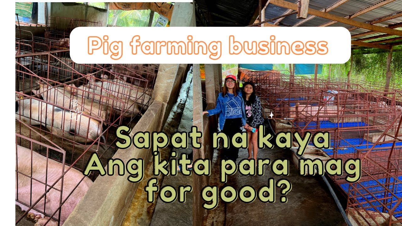 Pig Farming Business | My First Investment in Philippines as an OFW | Piggery Farm Tour