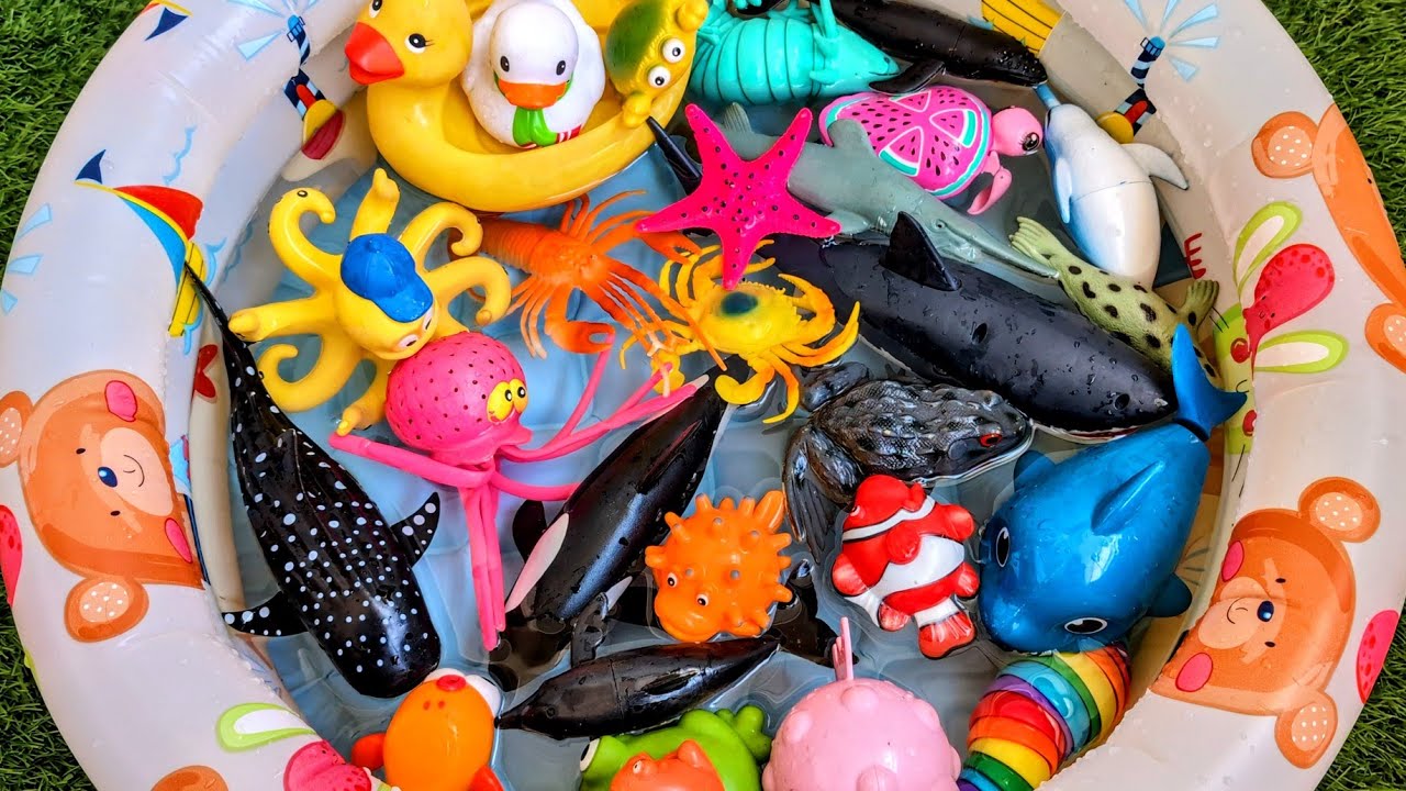 Ocean Creatures Learning Playtime for Kids | Fun Sea Animals for Preschoolers
