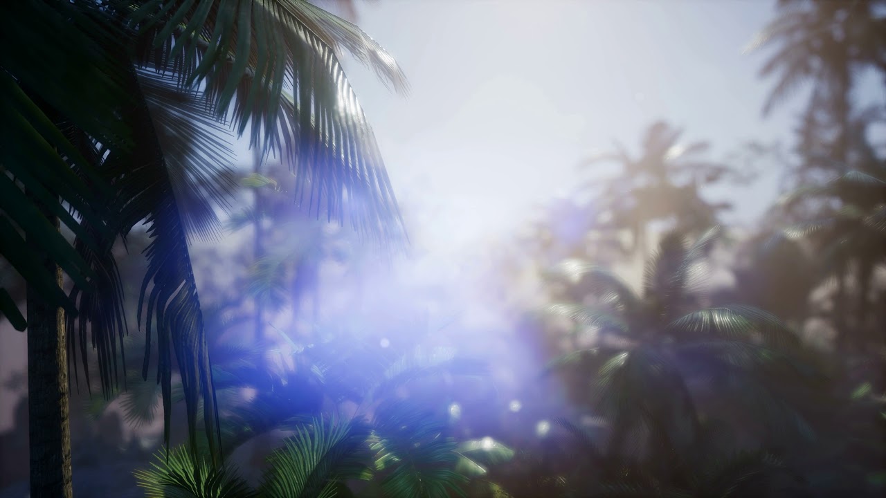 4k Amazing sunset at tropical beach with palm tree | Video Effects