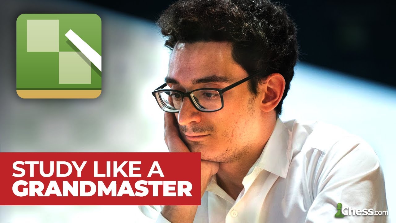 How grandmasters study chess openings