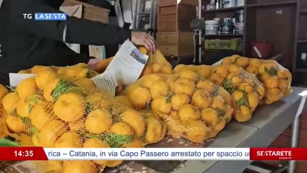 Ad Aci Bonaccorsi, solidarietà e educazione ambientale. Donati ottanta kg di mandarino alle suore