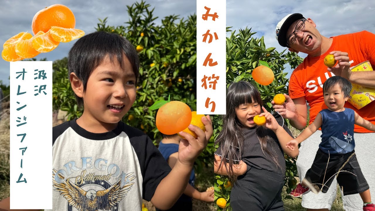 みかん狩り🍊汲沢オレンジファーム