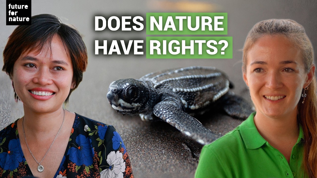 The Rights of Nature: Can Laws Protect Nature? 👩‍💼 (with Callie Veelenturf and Trang Nguyen)