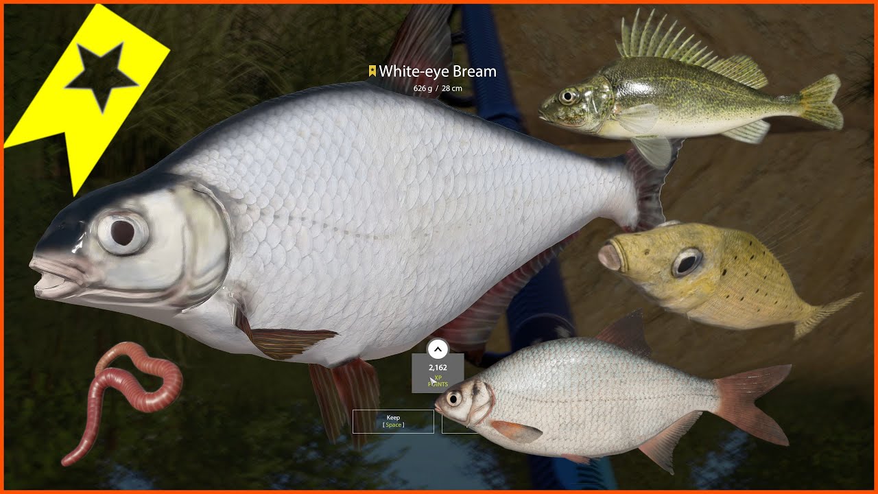 White-eye bream Sapa Winding Rivulet | Russian Fishing 4