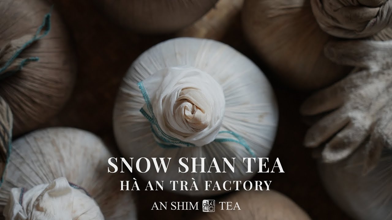 Snow Shan Tea Production - H&agrave; An Tr&agrave; Factory by AN SHIM TEA