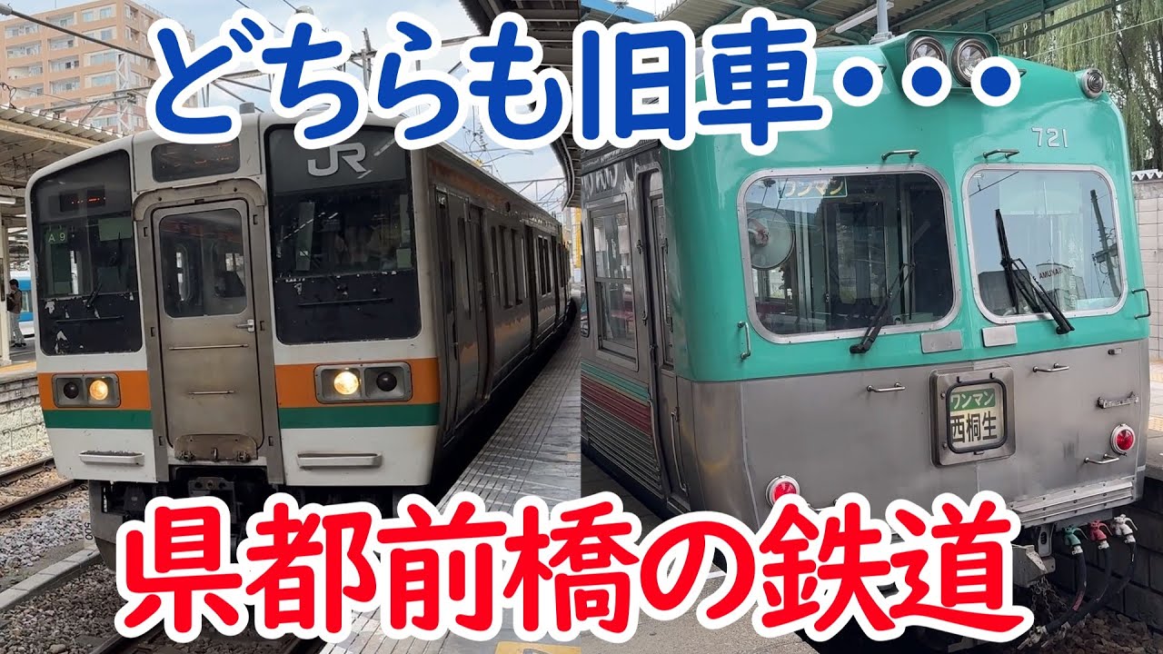 【秋の群馬旅②】両毛線と上毛線