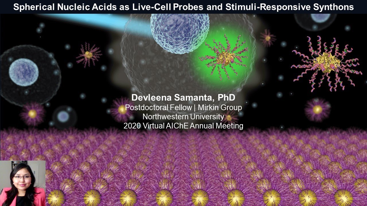 Spherical Nucleic Acids as Live-Cell Probes and Stimuli-Responsive Synthons