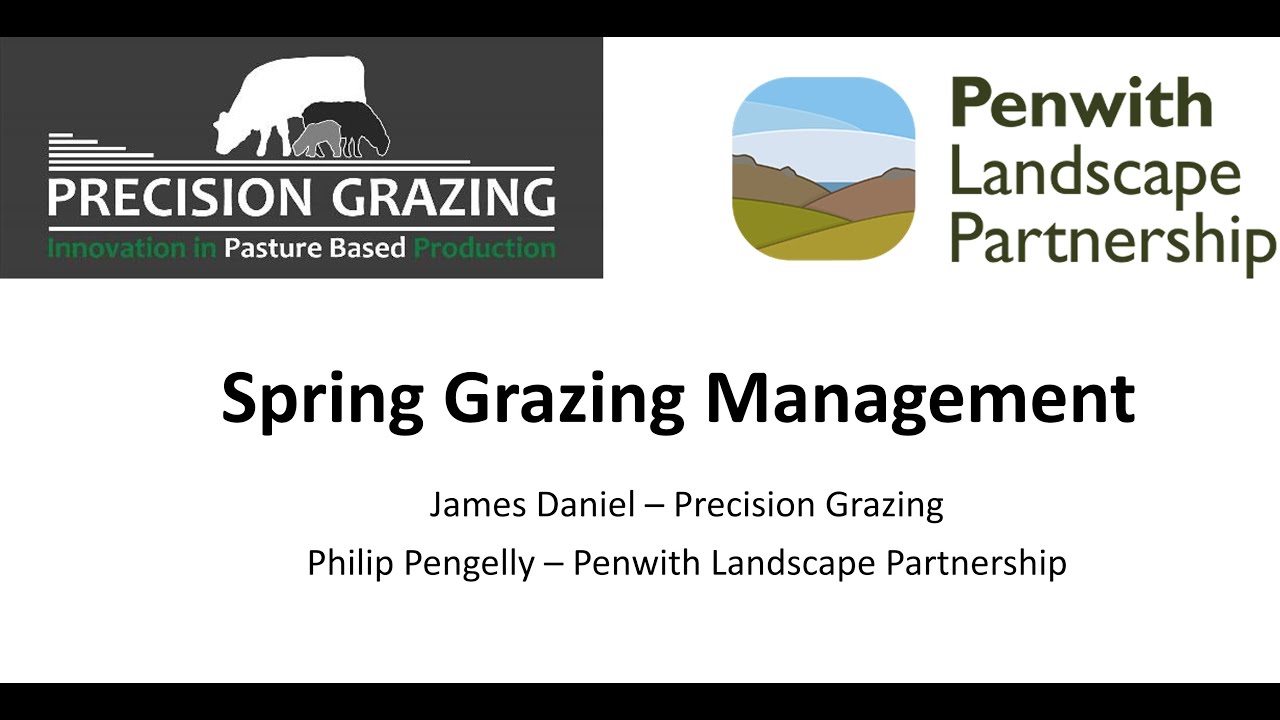 Penwith Landscape Partnership - Spring Grazing Management