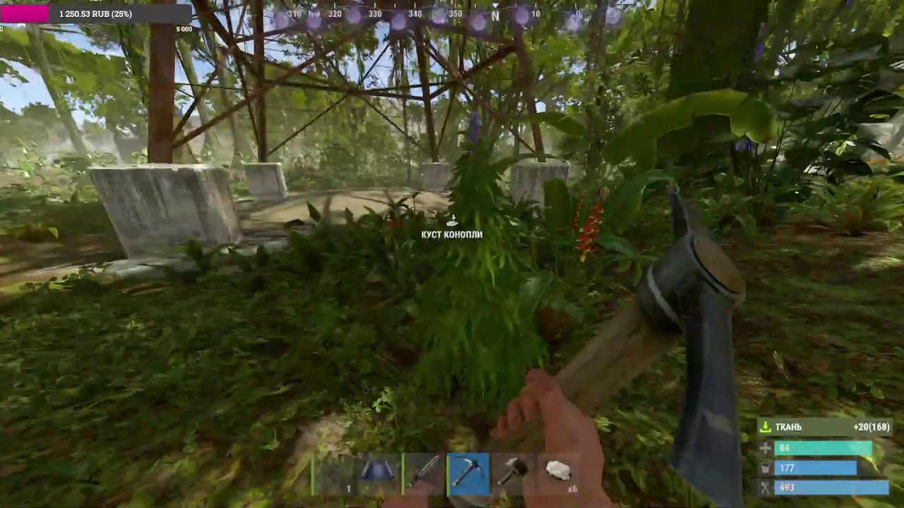 RUST