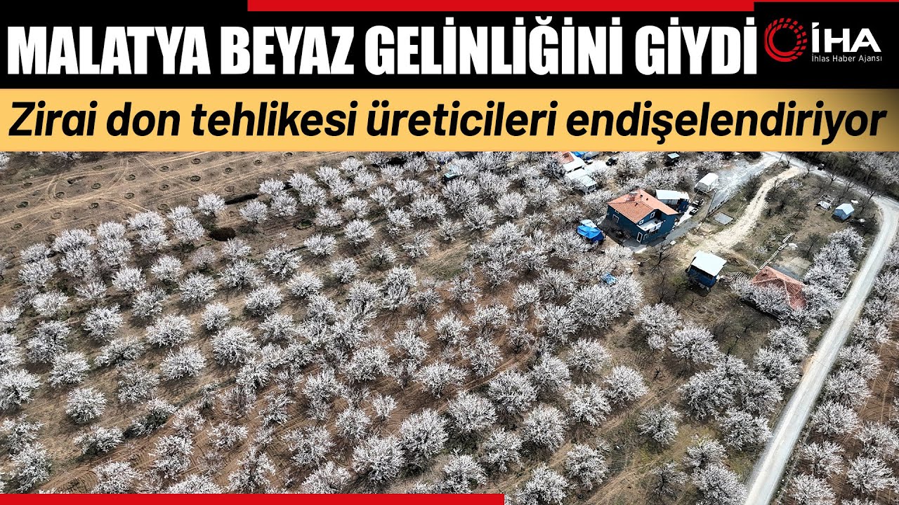 Malatya Beyaz Gelinliğini Giydi