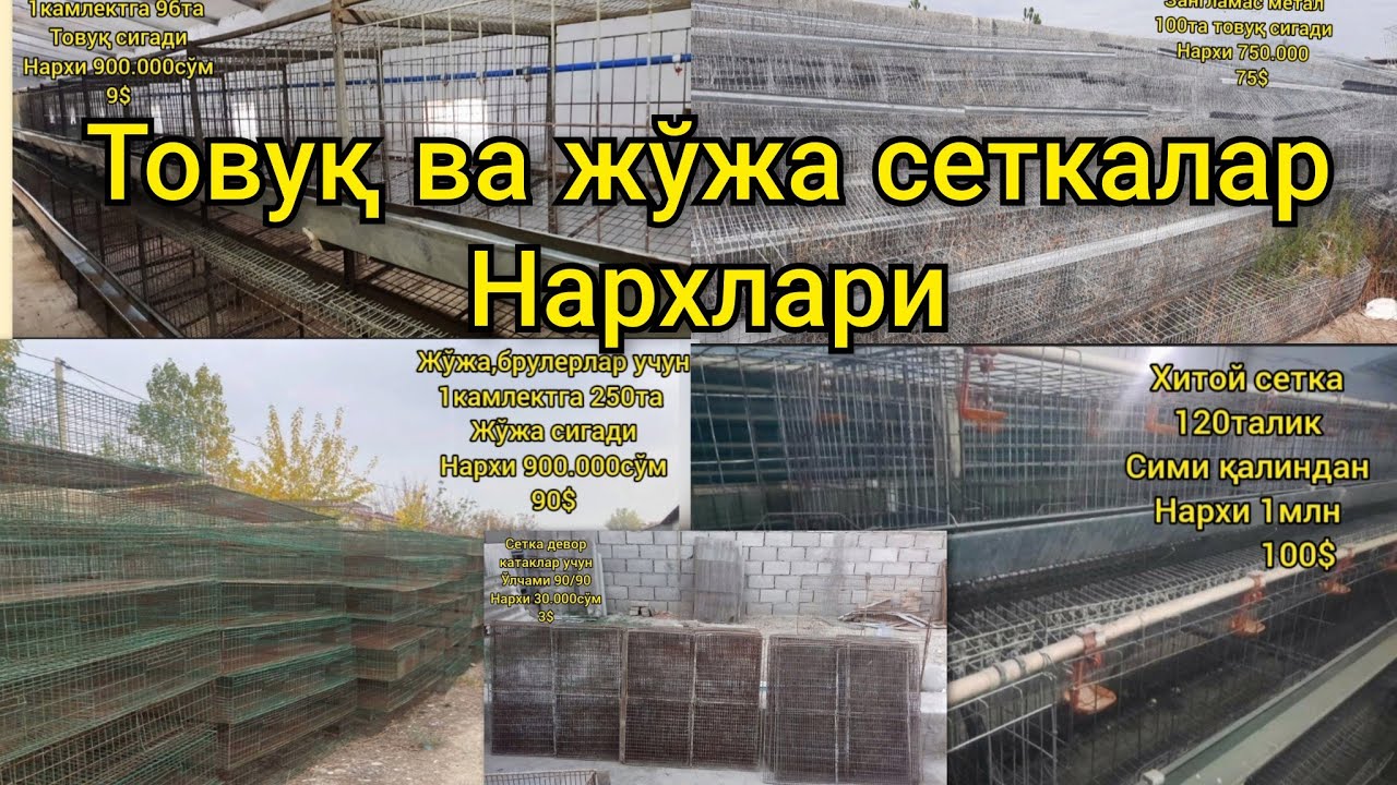 товуқ#сетка#клектка#катак#нархлари#жўжа#учун#махсус#tovuq#joʻjalar#uchun#maxsus#setka#narxlari#