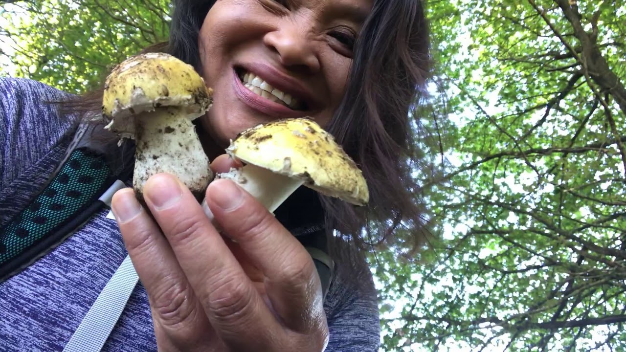 Our Camino Ep 10 Palas de Rei to Ribadiso Spain Camino de Santiago