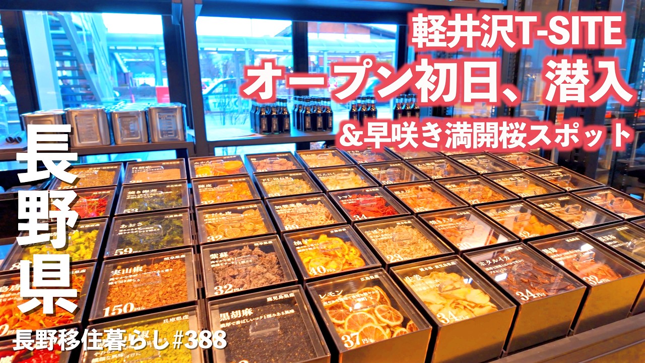 【長野移住】軽井沢T-SITEオープン初日に行った後、早咲き満開の桜で春を満喫!!｜軽井沢T-SITE｜秋間梅林｜ドライブ｜田舎暮らし｜長野県｜群馬県｜4K