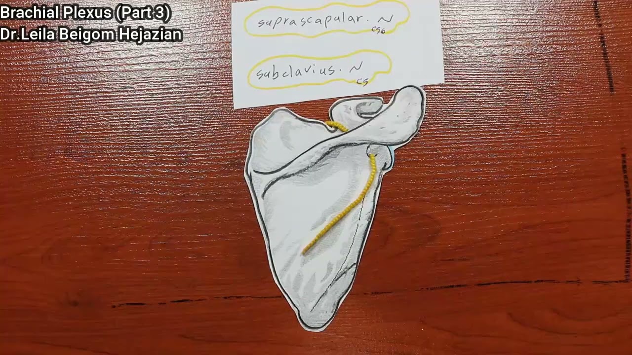 شبکه عصبی بازویی (پارت 3)