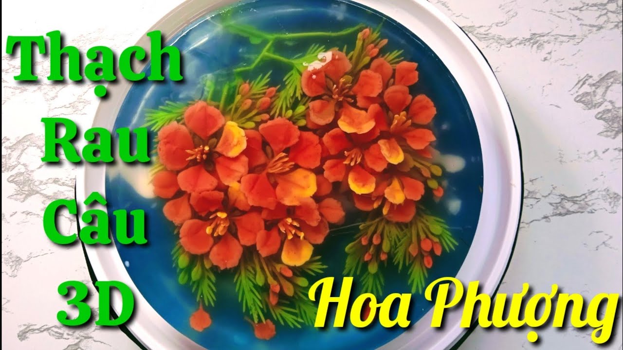 Thạch Rau Câu 3D - Vẽ Hoa Phượng Bằng Kim Y Tế G18