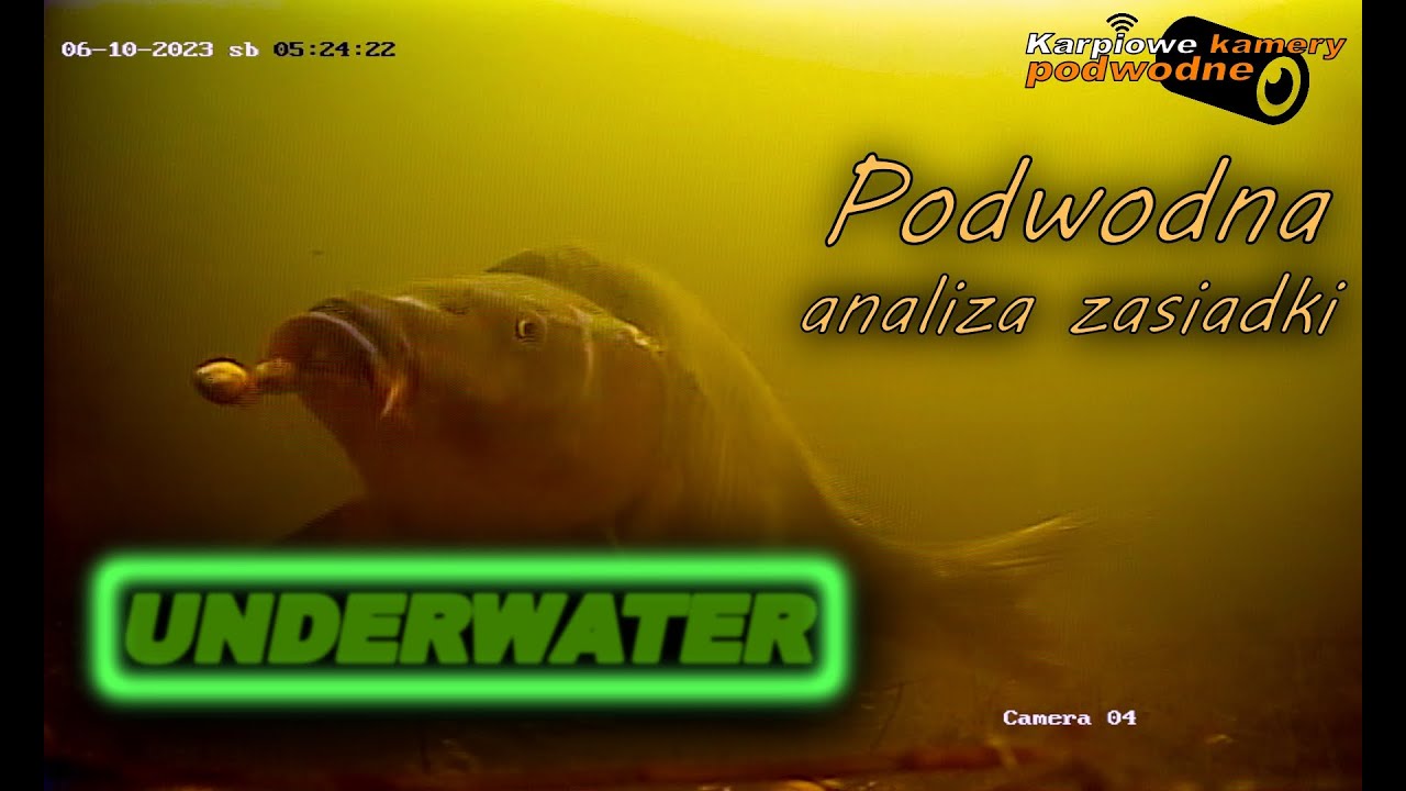 Underwater! Podwodna analiza zasiadki! Kamera podwodna KKP-06-WR