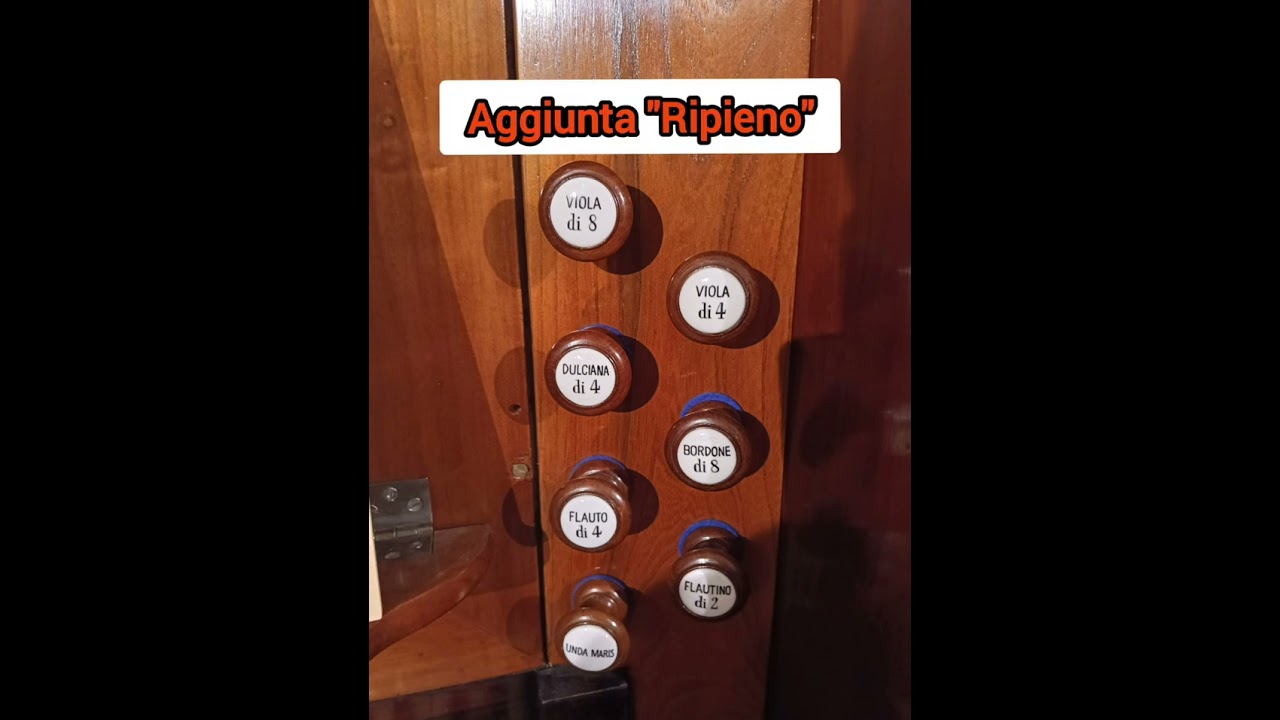 Organi del Mantovano: Gonzaga 